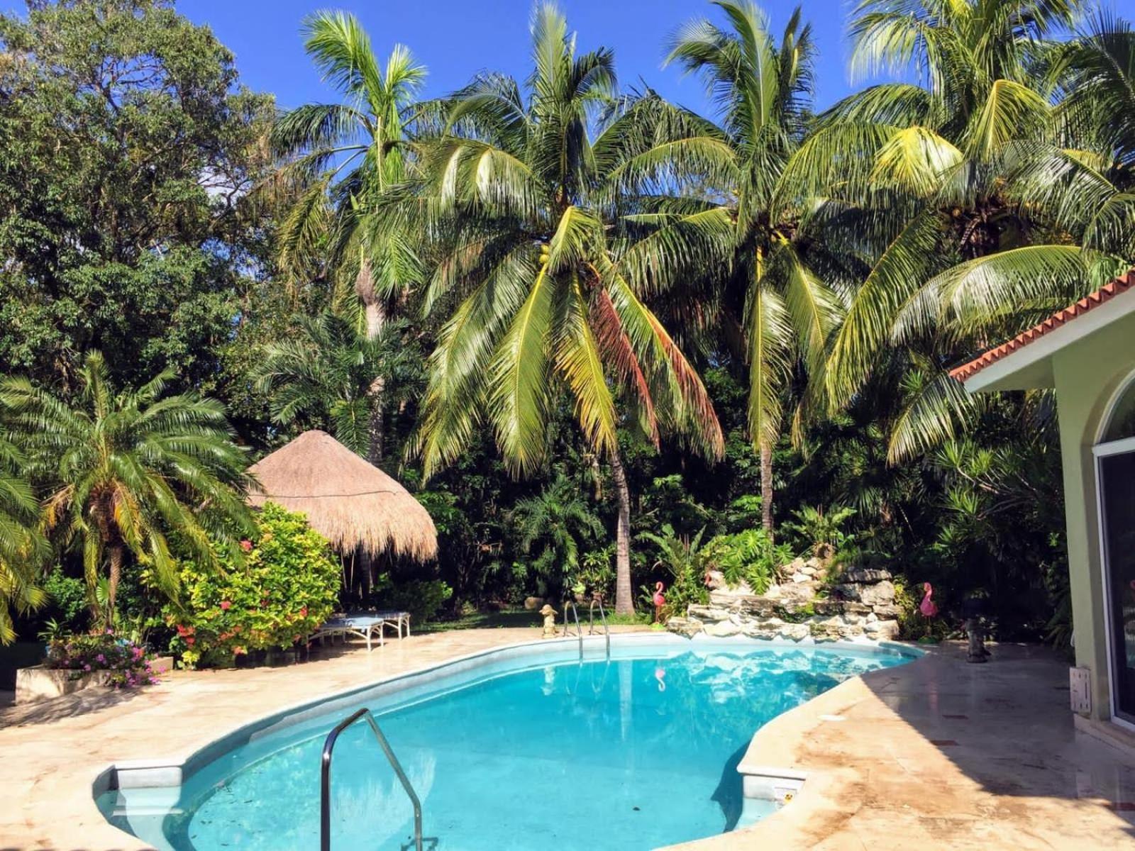 Casa Beard, Spacious Guest House With High Speed Wifi & Pool. بلايا ديل كارمن المظهر الخارجي الصورة